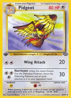 Pidgeot #24 from Jungle