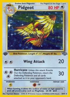 Pidgeot #8 from Jungle