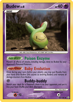Budew #33 from Stormfront