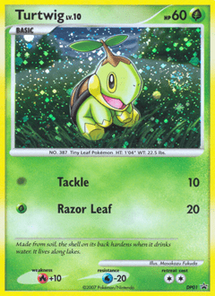 Turtwig #DP01 from DP Black Star Promos