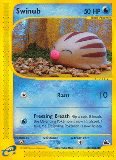 Swinub #107 from Skyridge