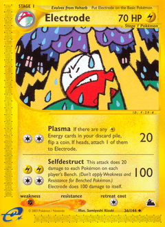 Electrode #36 from Skyridge