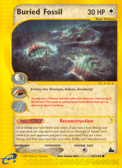 Buried Fossil #47 from Skyridge