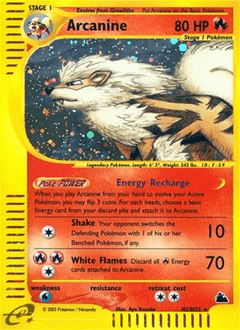 Arcanine #H2 from Skyridge