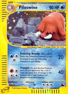 Piloswine #H22 from Skyridge