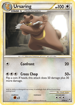 Ursaring #37 by Kouki Saitou