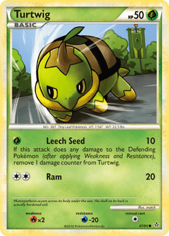 Turtwig #67 by match