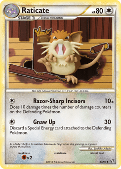 Raticate #34 from HS—Undaunted