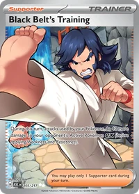 Black Belt's Training #255 by Gossan