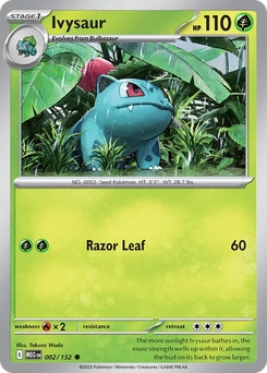 Ivysaur #2 from Mega Evolution