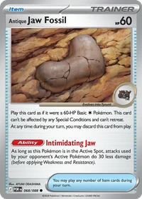 Antique Jaw Fossil #68 from Perfect Order