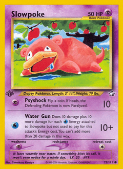 Slowpoke #73 from Neo Genesis