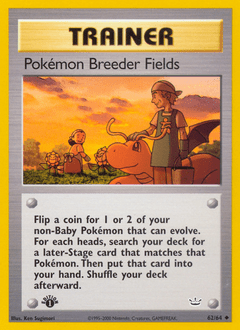 Pokémon Breeder Fields #62 from Neo Revelation