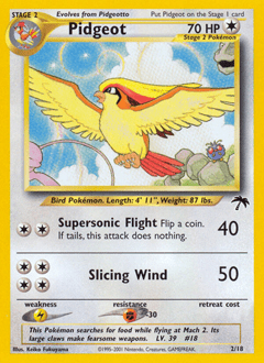 Pidgeot #2 by Keiko Fukuyama