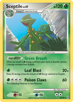 Sceptile #30 from Arceus
