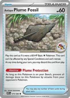 Antique Plume Fossil #79 from White Flare