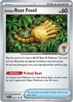 Antique Root Fossil #130 from Stellar Crown