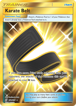 Karate Belt #252 from Unified Minds