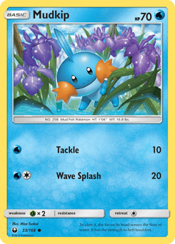 Mudkip #33 from Celestial Storm