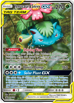 Venusaur & Snivy GX #SM229 from SM Black Star Promos