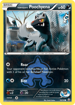 Team Aqua's Poochyena #16 from Double Crisis