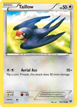 Taillow #102 from XY