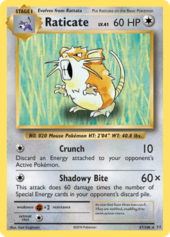 Raticate #67 from Evolutions