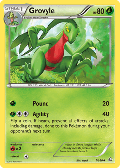Grovyle #7 by match