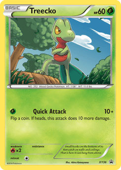 Treecko #XY36 from XY Black Star Promos