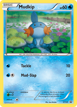 Mudkip #XY38 by Aya Kusube