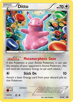 Ditto #XY40 by 5ban Graphics